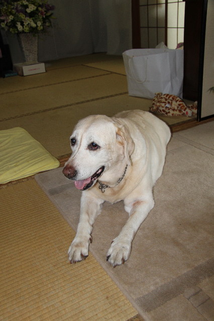 ファイル 1956-5.jpg