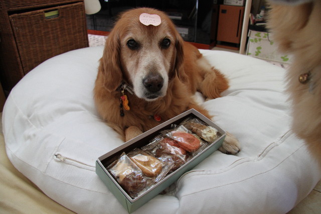 ファイル 1957-3.jpg