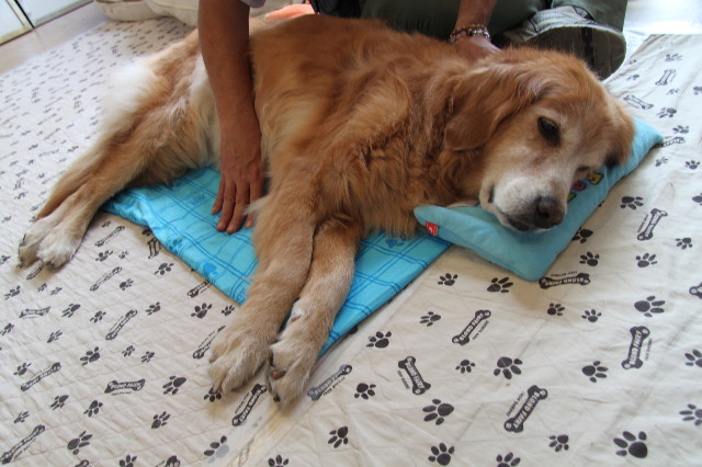 ファイル 1958-2.jpg