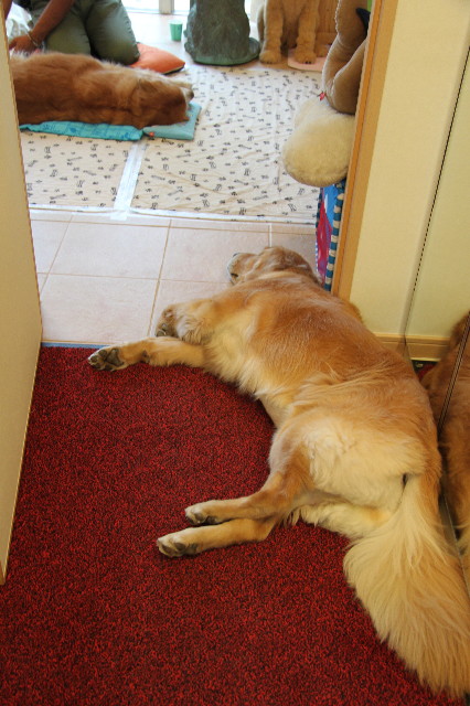 ファイル 1958-4.jpg