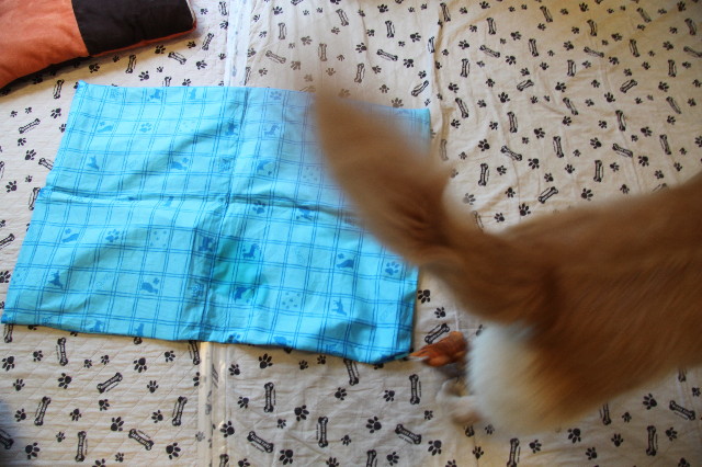 ファイル 1958-5.jpg