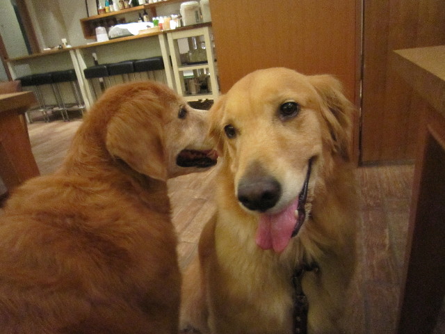 ファイル 1959-1.jpg