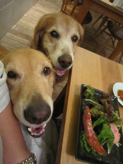 ファイル 1959-3.jpg