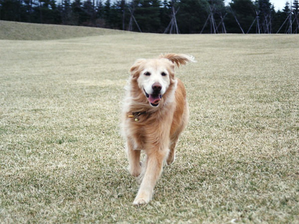 ファイル 196-3.jpg