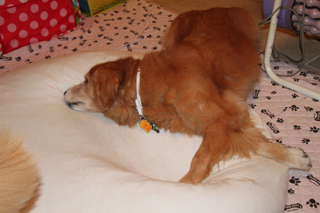 ファイル 1960-3.jpg