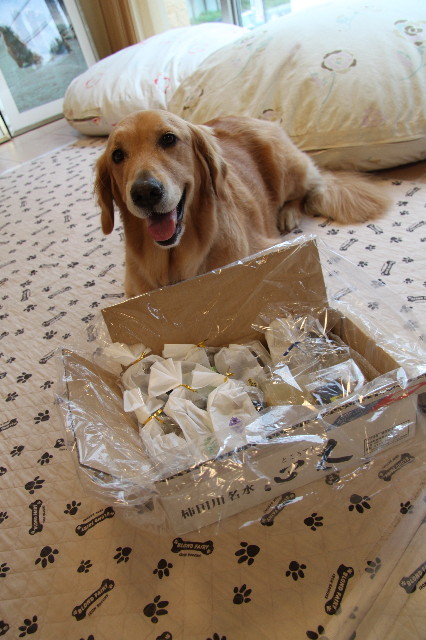 ファイル 1961-1.jpg