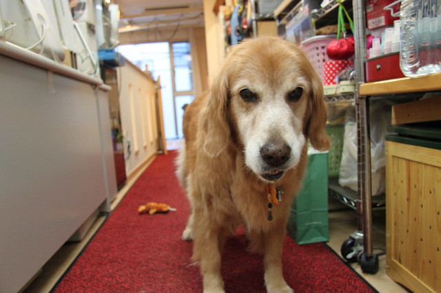 ファイル 1961-4.jpg