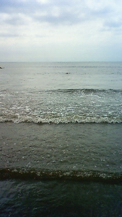 ファイル 1962-1.jpg