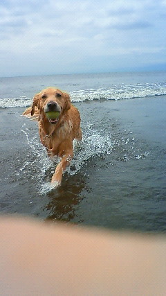 ファイル 1962-4.jpg