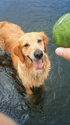 ファイル 1962-5.jpg