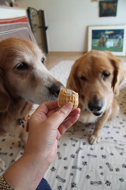 ファイル 1963-3.jpg