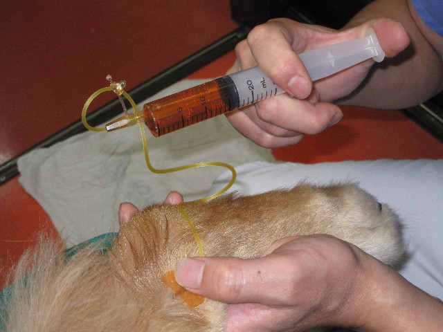 ファイル 1964-3.jpg