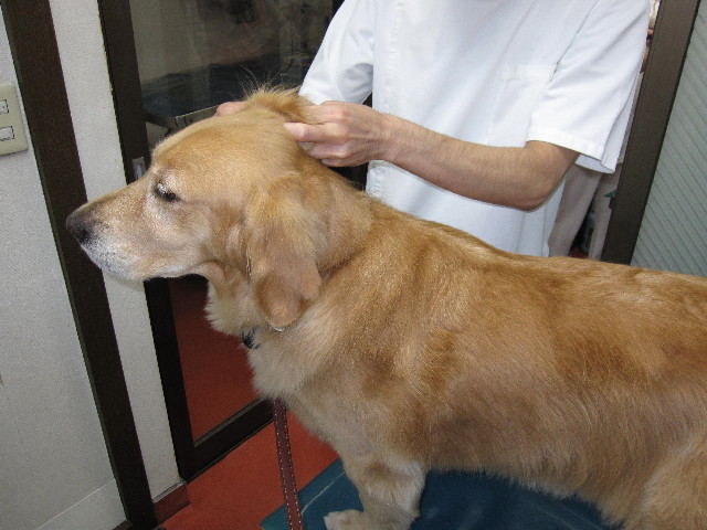 ファイル 1964-4.jpg