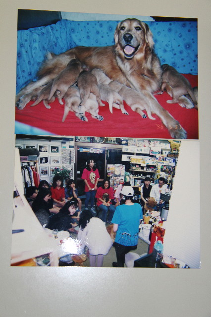 ファイル 1966-2.jpg