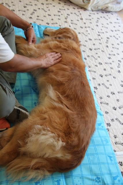 ファイル 1967-2.jpg