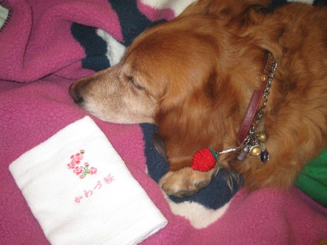 ファイル 197-5.jpg