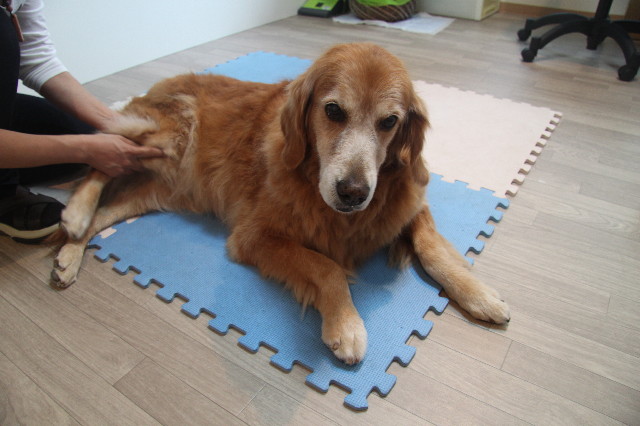 ファイル 1974-1.jpg