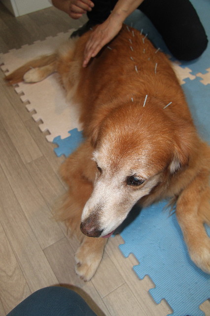 ファイル 1974-2.jpg