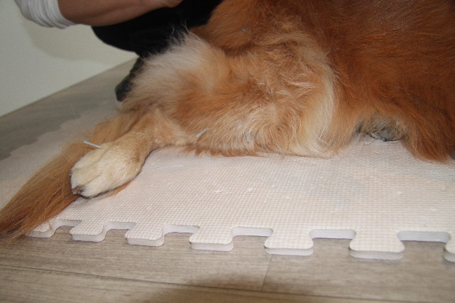 ファイル 1974-4.jpg