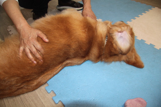 ファイル 1974-5.jpg