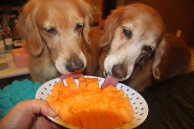 ファイル 1975-1.jpg