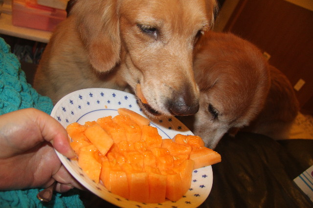 ファイル 1975-2.jpg