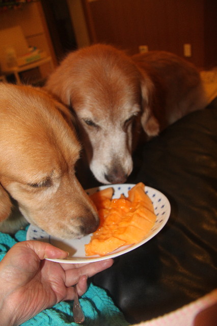 ファイル 1975-3.jpg