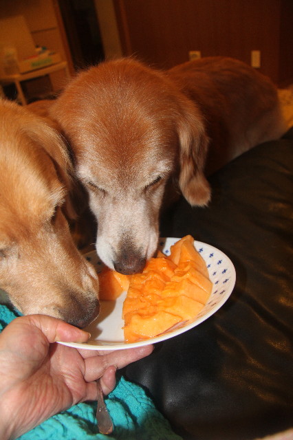 ファイル 1975-4.jpg