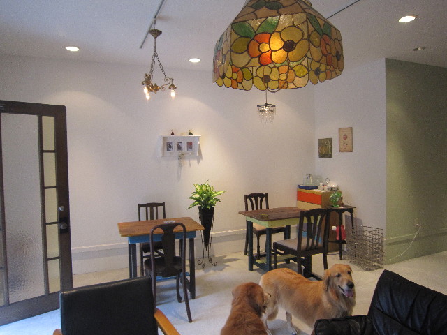 ファイル 1976-2.jpg