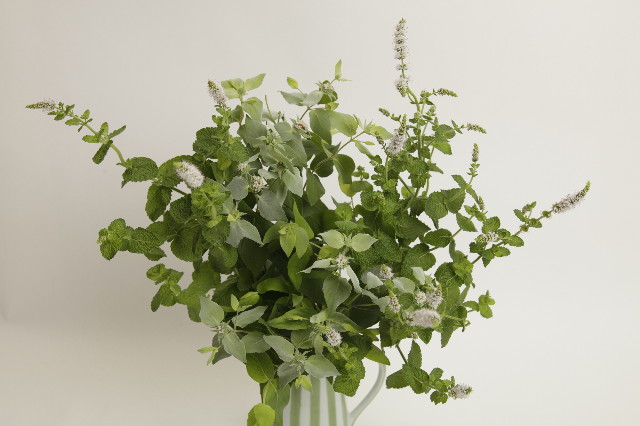 ファイル 1977-4.jpg