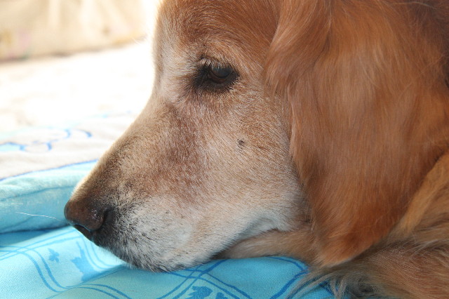 ファイル 1978-3.jpg