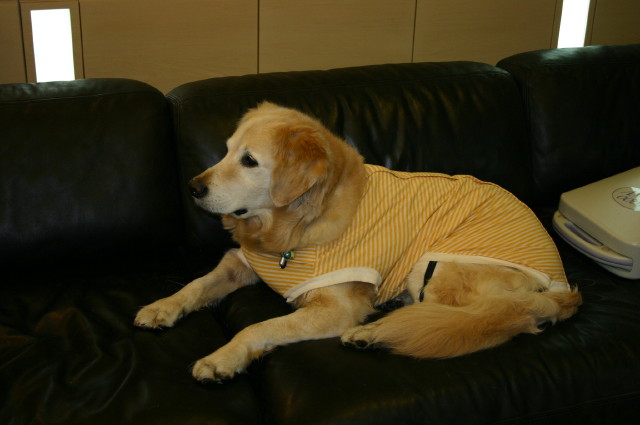 ファイル 198-1.jpg