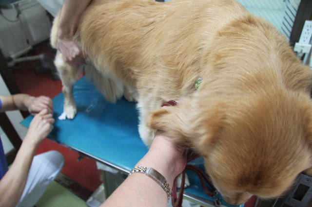 ファイル 1980-4.jpg