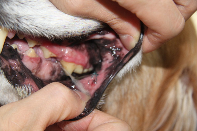 ファイル 1980-5.jpg