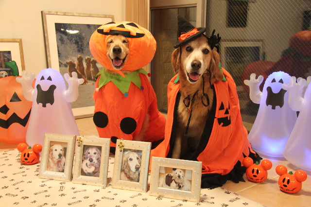 ファイル 1982-1.jpg