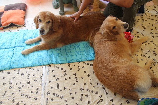 ファイル 1985-2.jpg