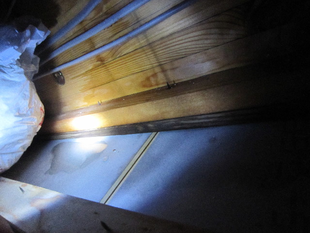 ファイル 1986-3.jpg