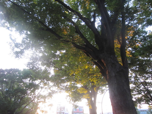 ファイル 1988-5.jpg