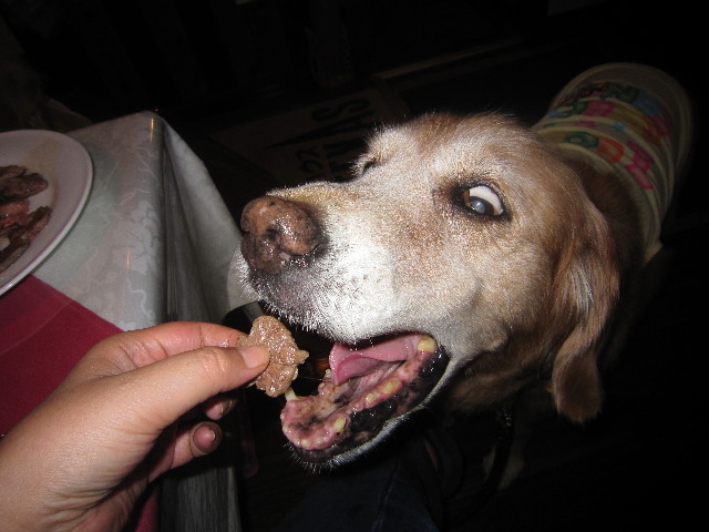 ファイル 1989-4.jpg