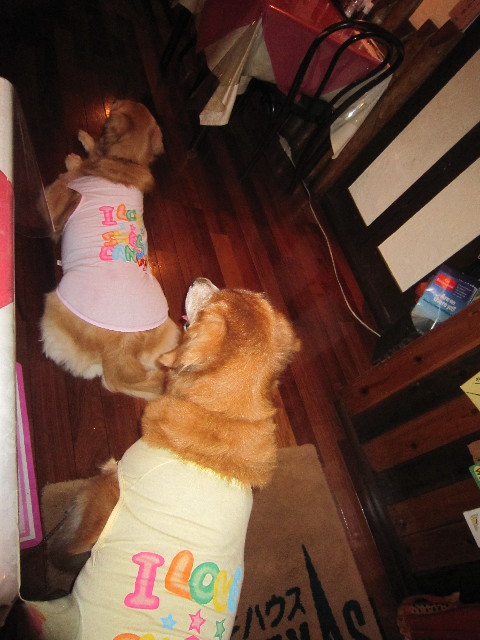 ファイル 1989-5.jpg