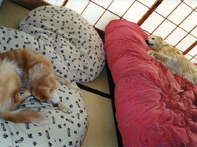 ファイル 199-5.jpg