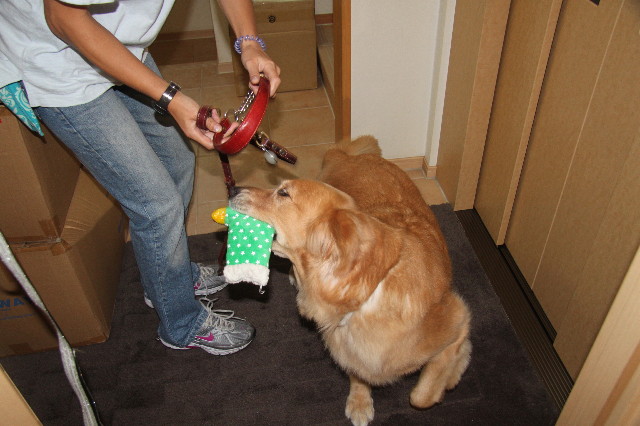 ファイル 1990-2.jpg