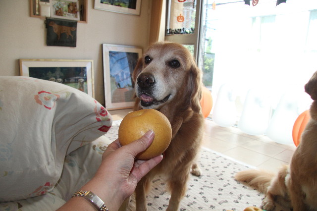 ファイル 1992-2.jpg