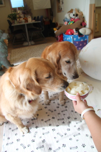 ファイル 1992-3.jpg