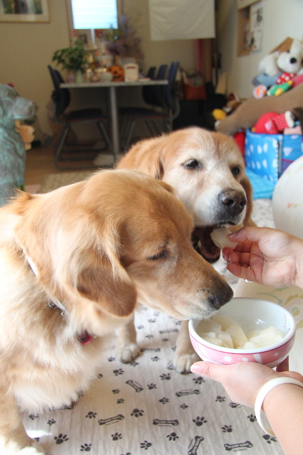 ファイル 1992-5.jpg