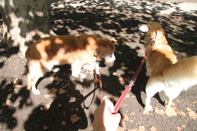 ファイル 1993-2.jpg