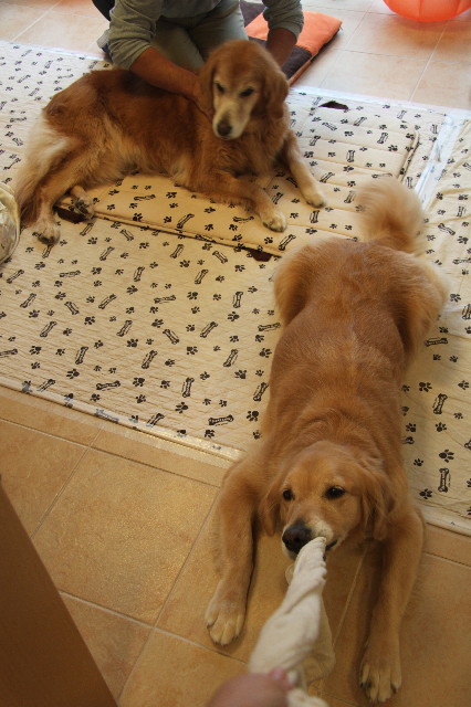 ファイル 1994-4.jpg