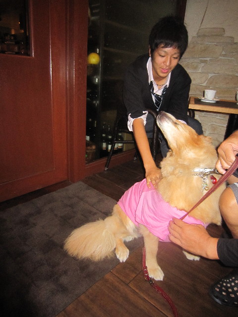 ファイル 1995-5.jpg