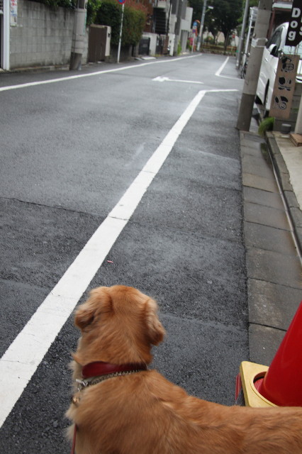 ファイル 1999-2.jpg