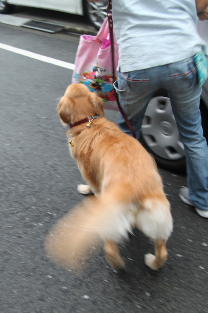 ファイル 1999-3.jpg